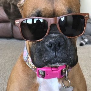 Meet your Posher, Cindy